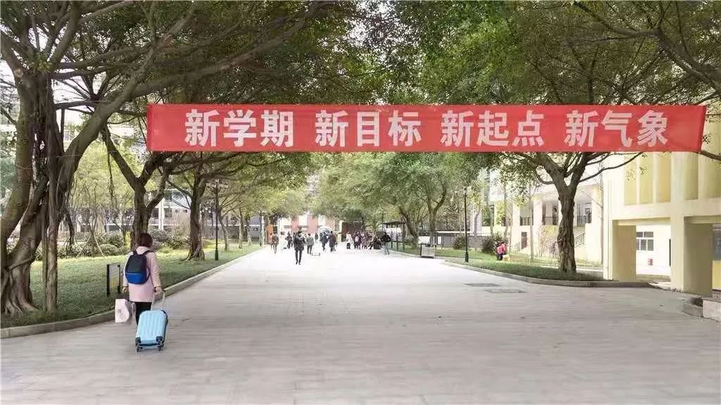 沙坪坝最好的中学校,沙坪坝区初中学校排名