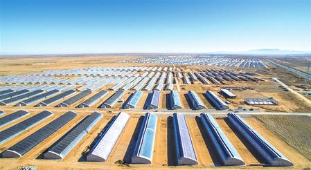 武威发展与生态文明建设,奋力谱写新时代生态文明新篇章