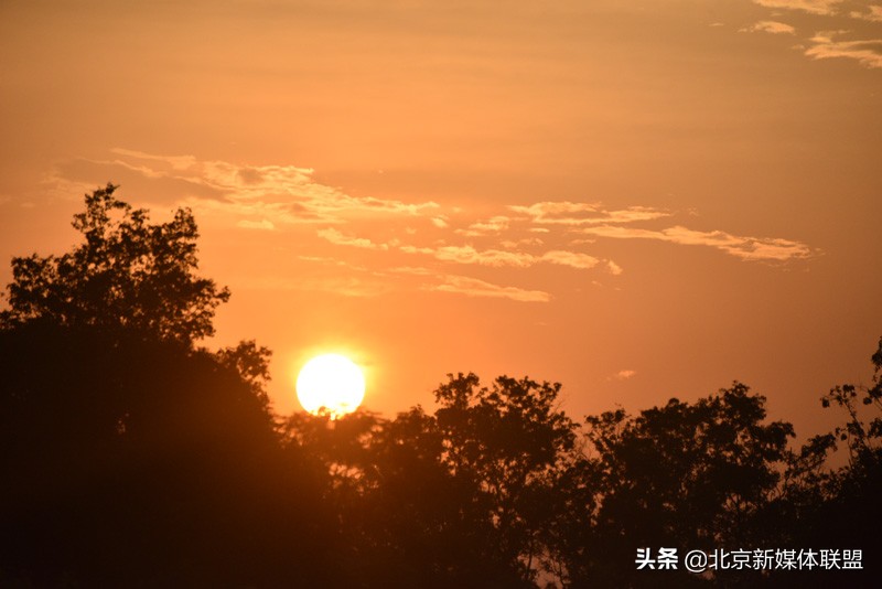 风雨兼程追逐黎明的曙光访中资企业尼泊尔黎明家具厂厂长王竹军