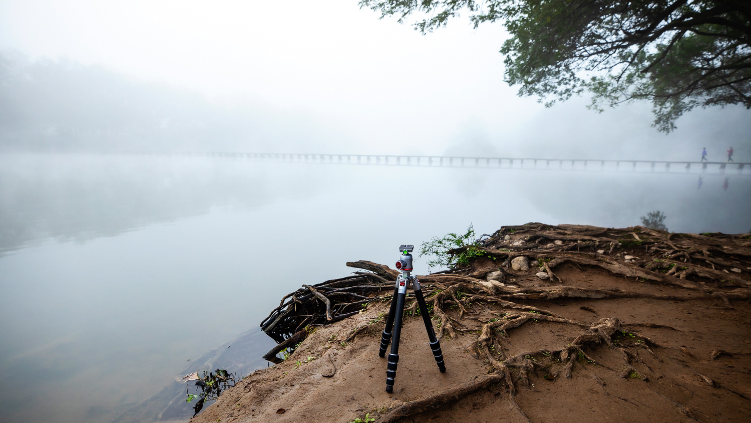 出门拍照装备,佳鑫悦三脚架黑色圈有什么用