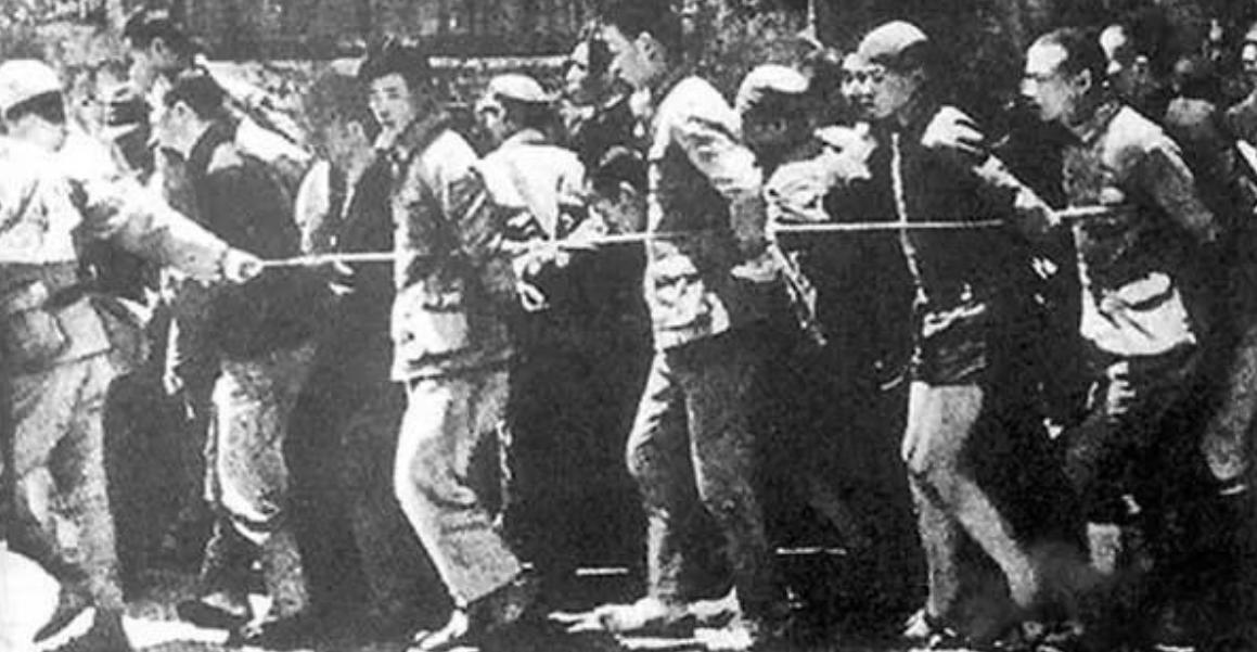 日本抓到的野人,日本野人被抓了吗