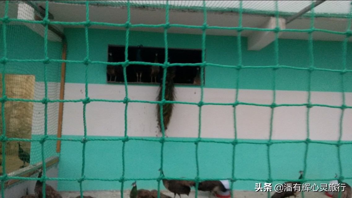 徒步第126天海南环岛行,徒步135天到大悟视频