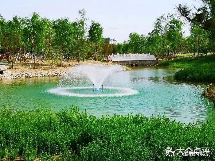 京城新增一“小江南”！免费人少