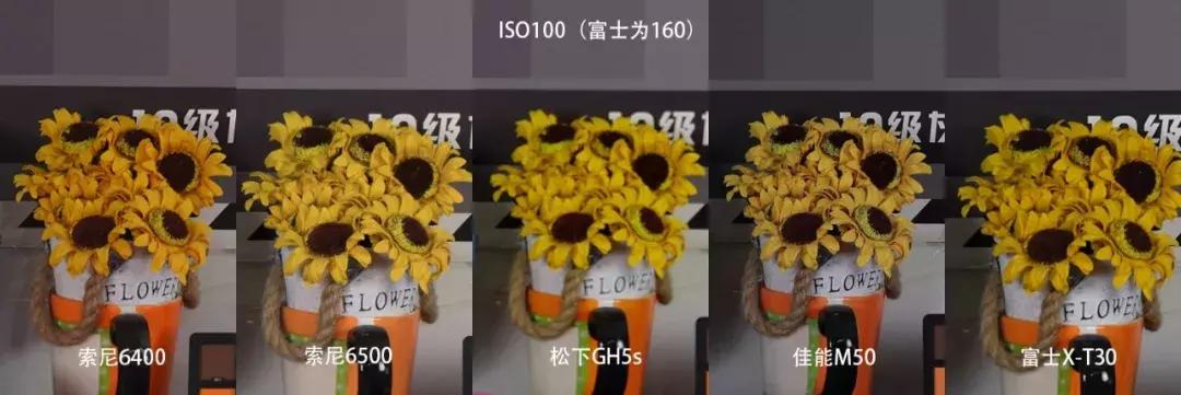 横评|索尼A6400、A6500、松下G9、GH5S、富士X-T30和佳能M50