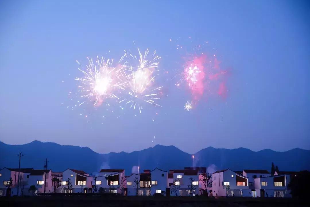 东梓关村改造规划,产业研究