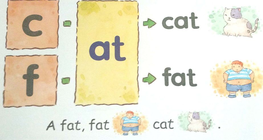 别再被英文培训班误导了，这才是真正的自然拼读