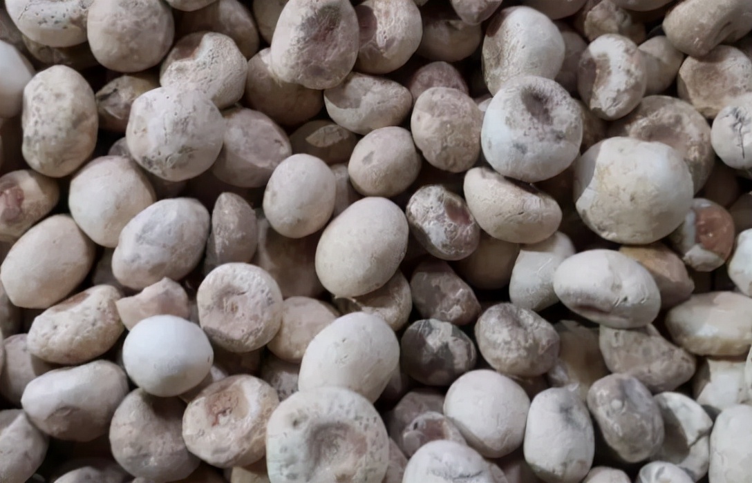 祛肺火化痰止咳的中药有哪些,雪梨和哪些中药可以止咳化痰