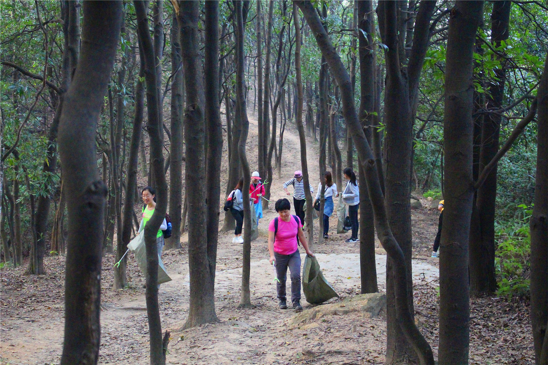 广州公益徒步2019,广州徒步走活动