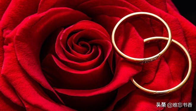 原来他们不过是你的影子—读《荆棘鸟》（4）