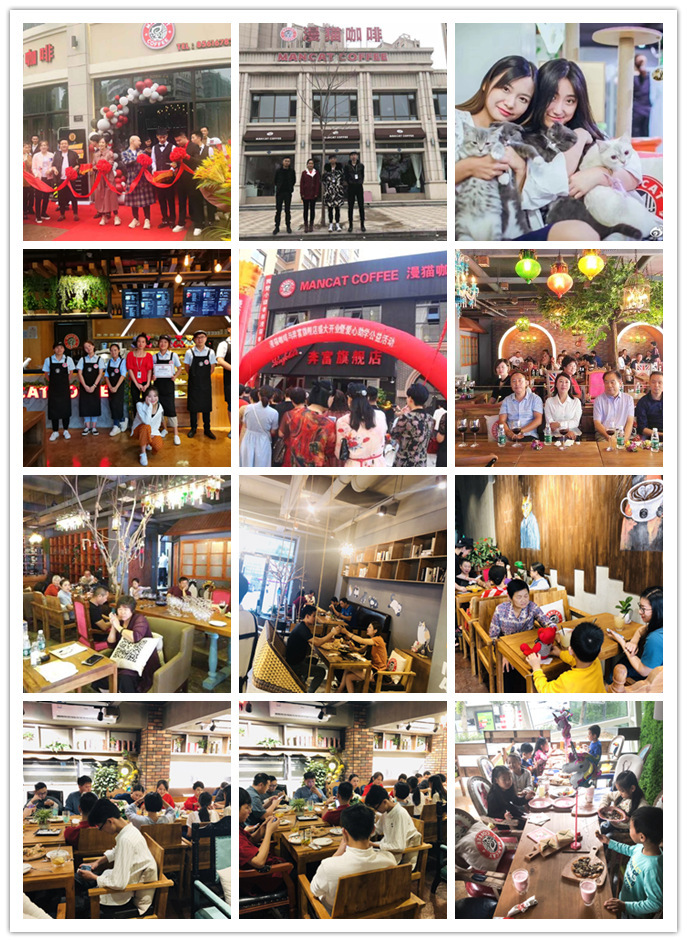 漫猫咖啡官网,咖啡品牌漫猫咖啡