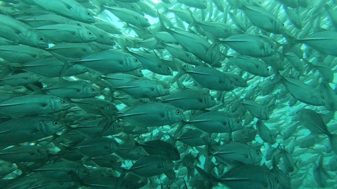 十分钟搞懂四个傻傻分不清的曲风,十分钟搞懂什么是金融