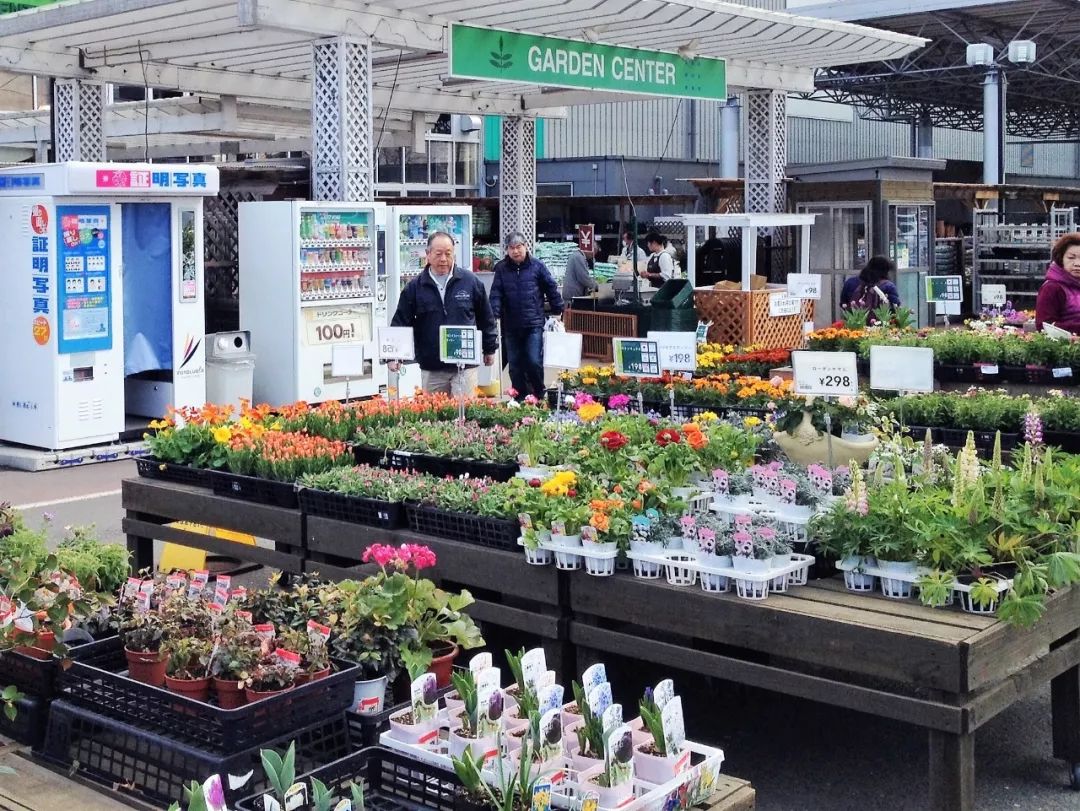 花店之旅,日本花店的真实感受