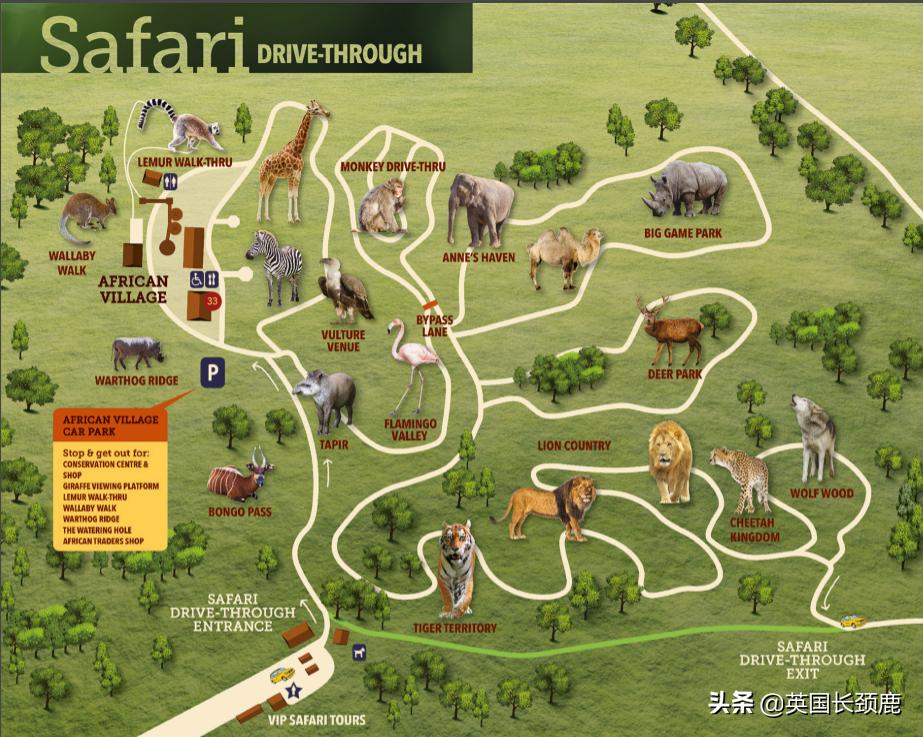 全球十大最受欢迎的野生动物园,伦敦十大动物园