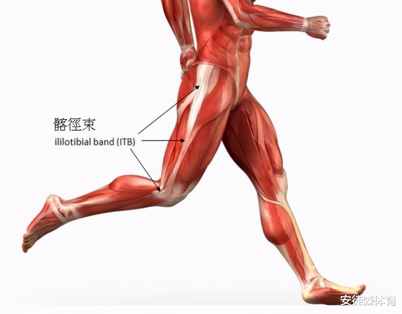 膝盖外侧痛怎么办,膝盖外侧痛贴什么膏药