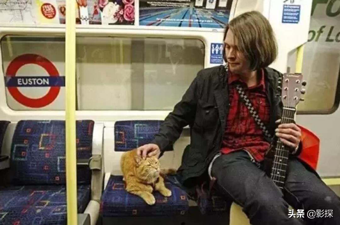 绁ㄦ埧榛戦┈鐩樼偣,绁ㄦ埧榛戦┈鍗囩骇鍥炲綊