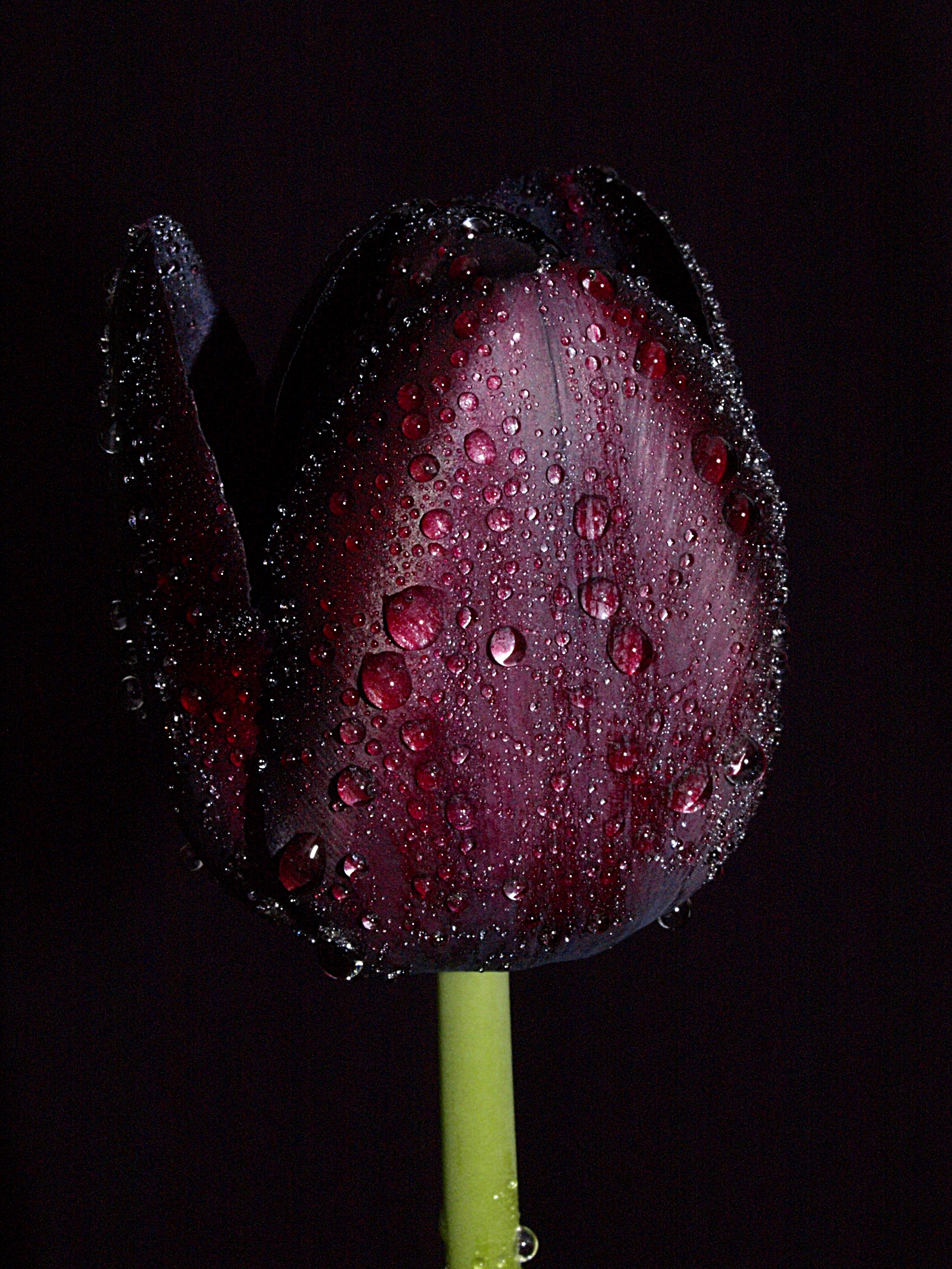 iphone7爱思助手越狱提示失败,ios8.3完美越狱失败的正确解决方法