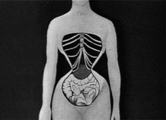 网红爆款束腹带,抖音爆款束腹带