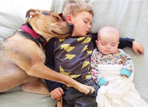 家有婴儿猫咪怎么办,家有宠物猫对婴儿有影响吗