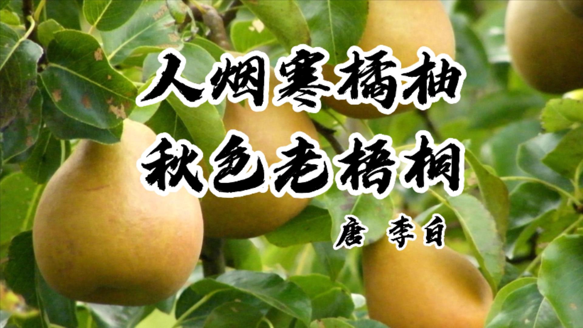 秋季时令水果的好处和注意事项,秋天哪些应季水果吃了对身体好