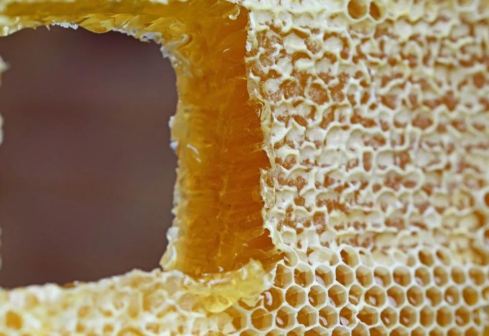 德国老皮具翻新,10年老车全面翻新