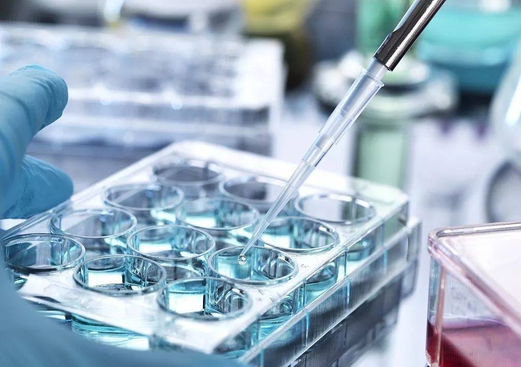 肥肉吃多了头晕最快的解决方法,肥肉吃多了呕吐是正常的吗