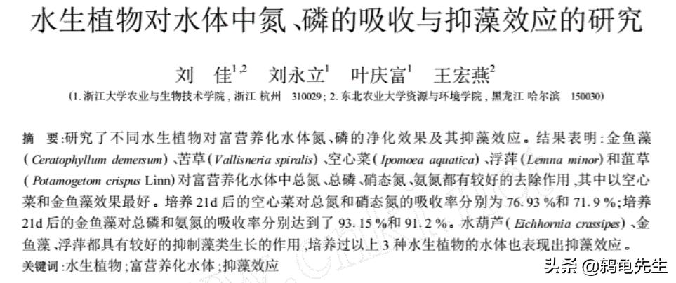 养水先养草,鱼缸里养水草好处多多,小鱼儿告诉您应该如何养水草