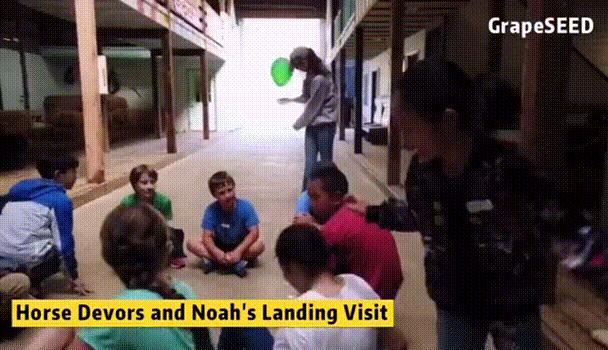 美国夏令营葡萄籽,国际游学夏令营美国