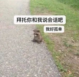 来自外卖小哥的霸道段子,关于外卖小哥的挺火的段子