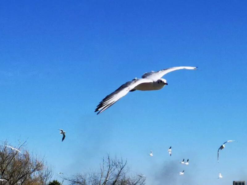 手拍世界摄影网,手拍世界微信公众号