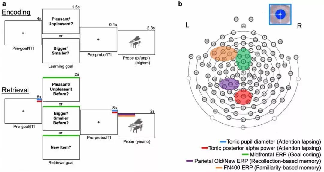 玩手机影响的记忆力如何改善,边吃东西边看手机会影响记忆力吗