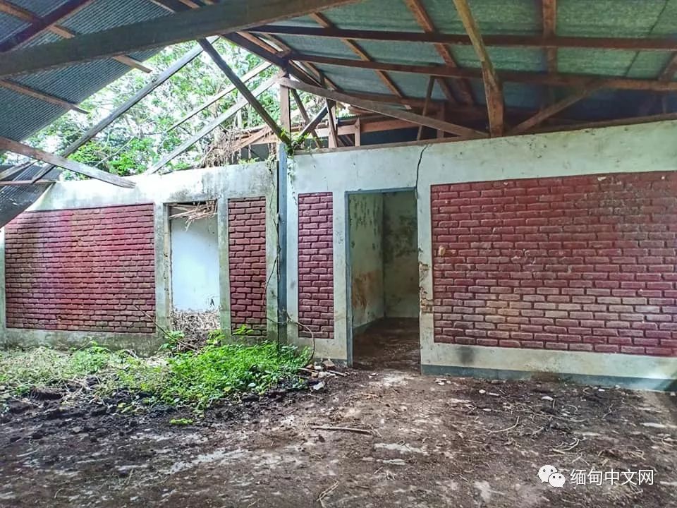 坤沙是怎么当上金三角老大的,金三角大毒枭坤沙传奇的一生