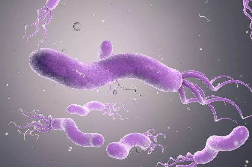 2岁半宝宝口臭幽门螺旋杆菌,4岁的宝宝有口臭是积食吗