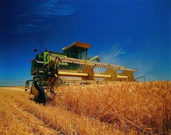 世界十大粮食集团排名,十大粮食集团