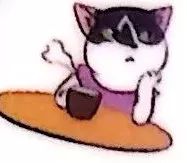 训练猫时可以给猫吃什么,训练猫捕食