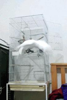 搞笑gif开心一刻单身也挺好,搞笑gif开心视频