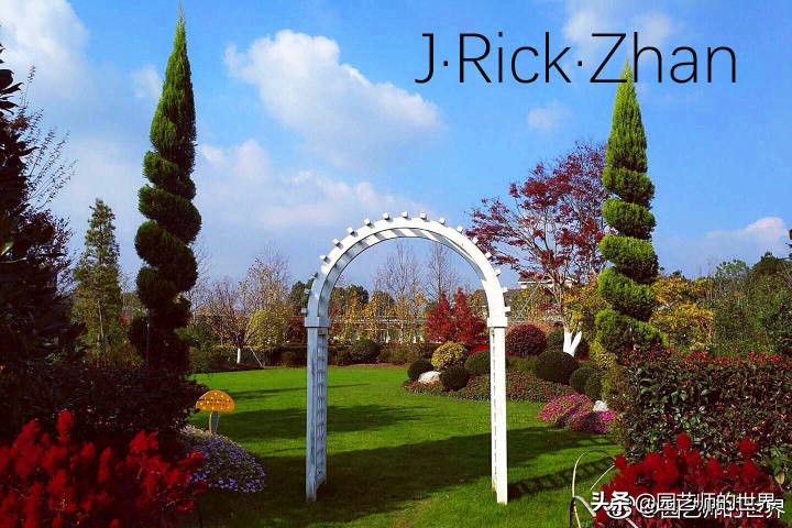 怎样种植草坪技术,果岭草坪的种植养护方法及技巧