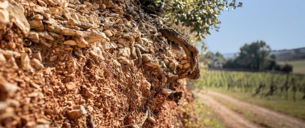 540+国家展团品牌商集结2021成都TAOWINE酒店展