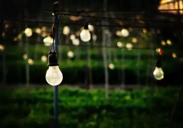 再见了大别山原唱歌曲,再见了大别山完整版原唱