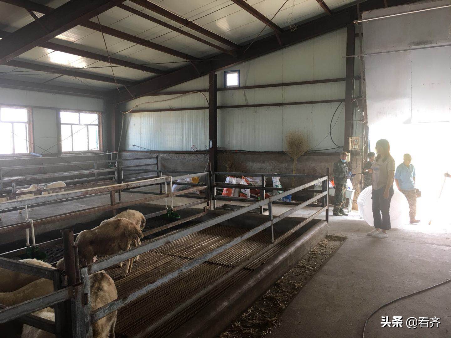 齐齐哈尔精准扶贫,齐齐哈尔扶贫