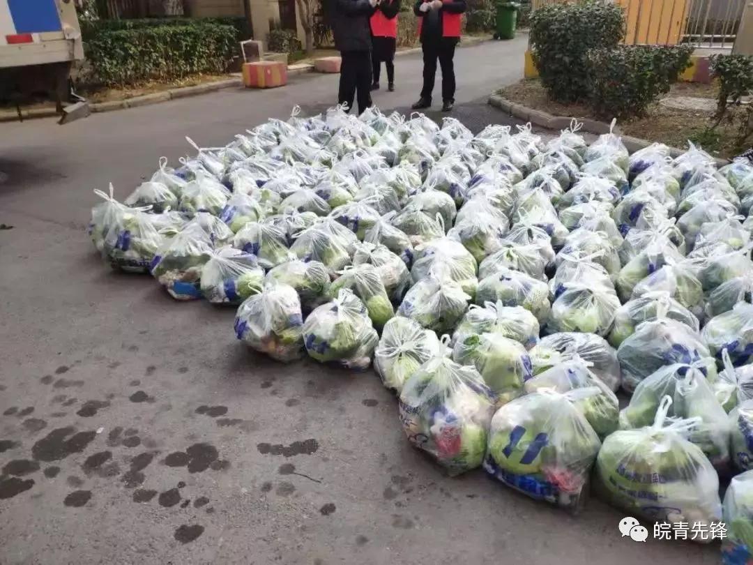 固镇县疫情防控青年突击队招募啦,抗疫团青