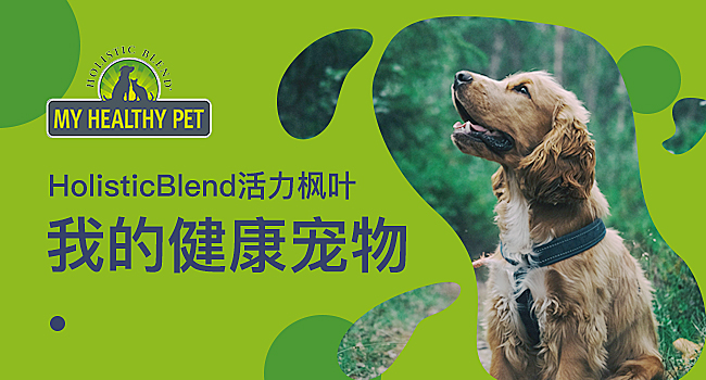 猫的高笑行为,盘点猫的搞笑行为