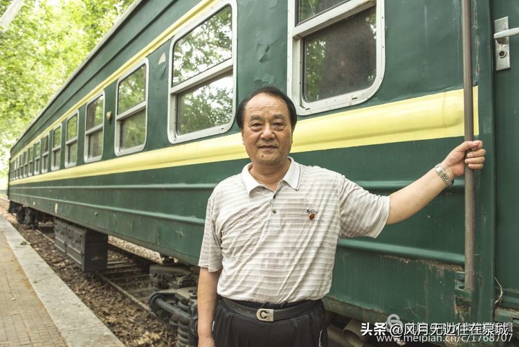 济南一颗梧桐树,济南的法国梧桐