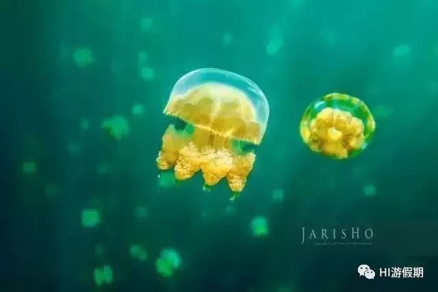 帕劳旅游免签吗,帕劳对中国人是免签吗