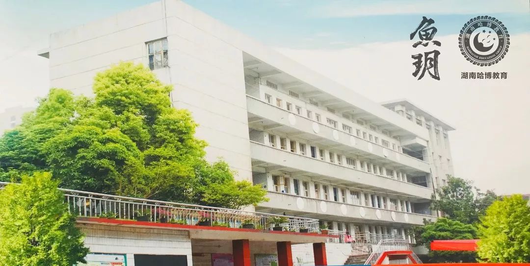 鱼玥茶礼|访哈博教育集团创始人：苏晚辉、雷碧容