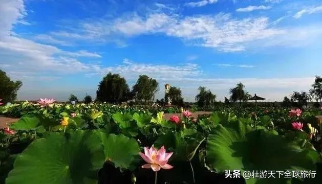 前世今生深度解读,一张图看懂白洋淀历史