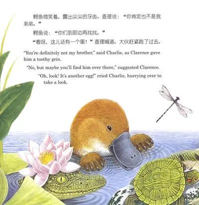 吸引好奇心的书单,没有求知欲的学生