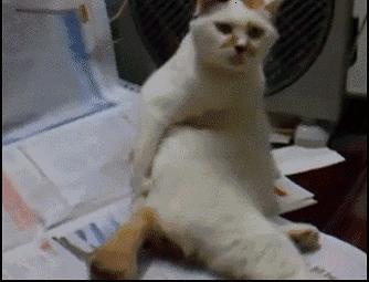 小米淋浴花洒,小米花洒哪一个增压效果好