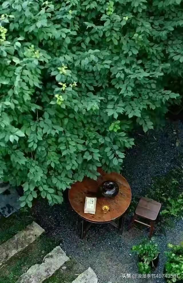 夏日时光，我恰好路过「散文」