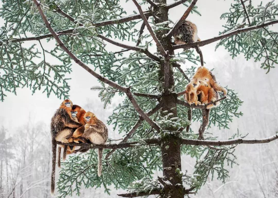 你才可爱你全家都可爱怎么回,你才可爱你全家都可爱出处