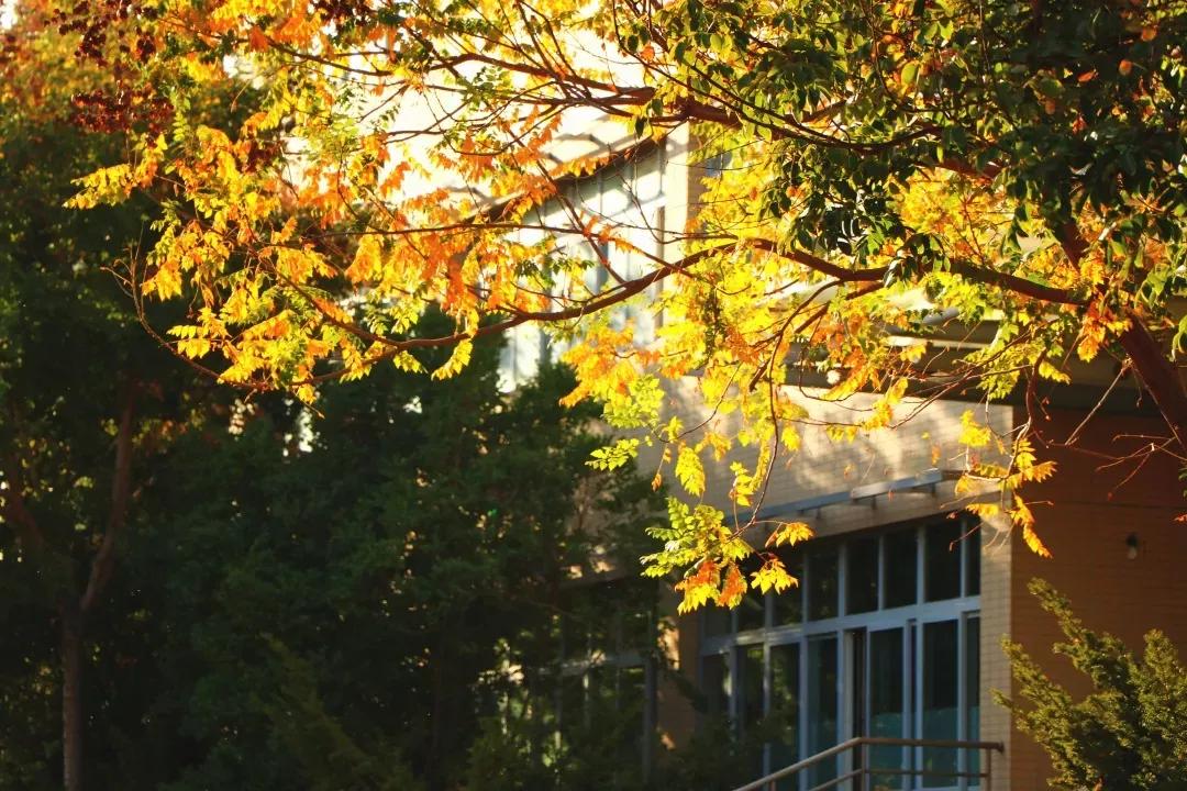 辽宁省高校(三十二)大连外国语大学